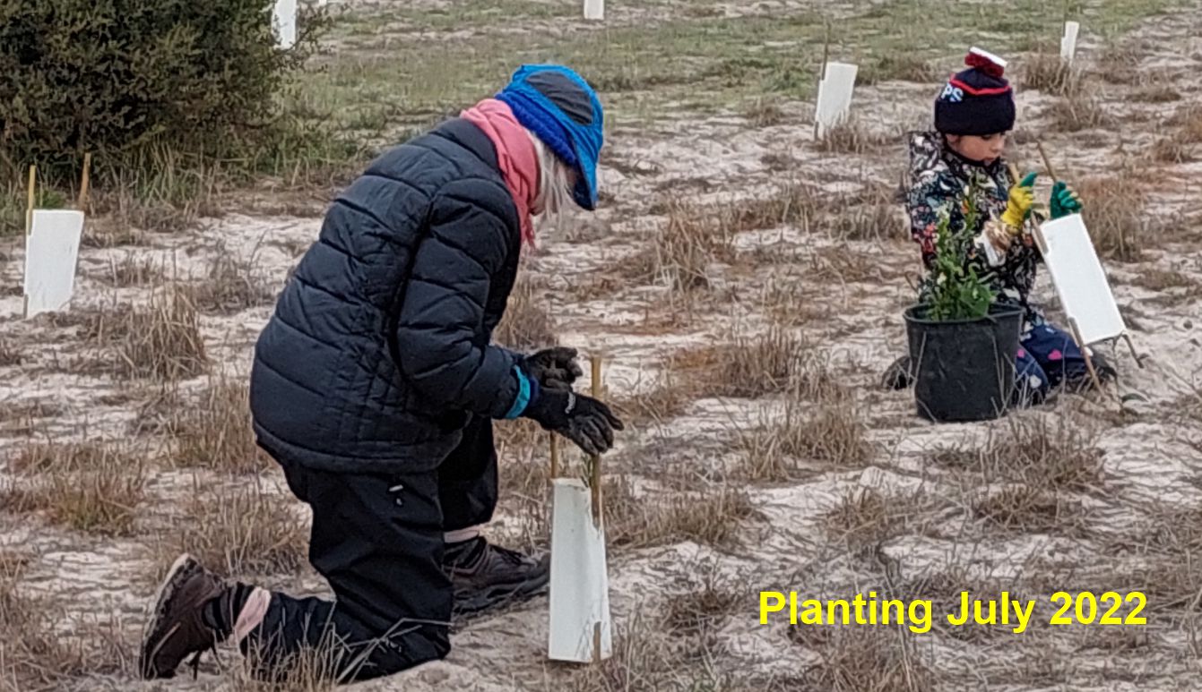 Planting 2022